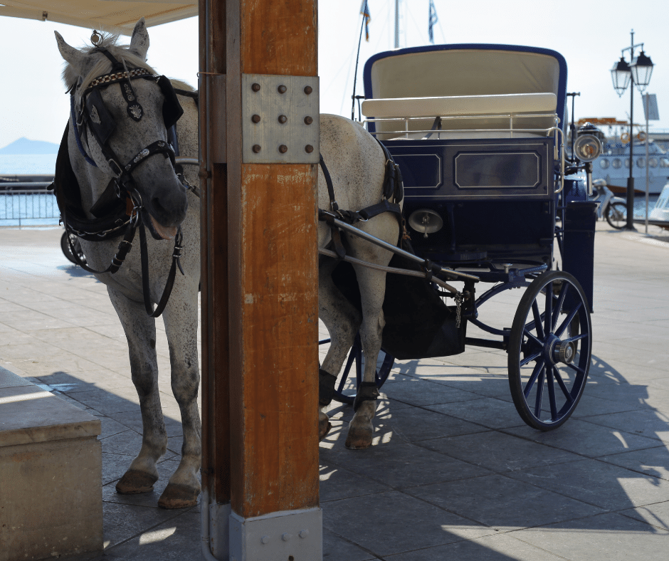 Spetses horse drawn carriage